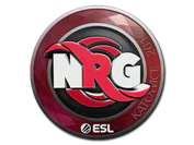 Sticker | NRG | Katowice 2019 image