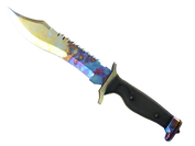 ★ Bowie Knife | Case Hardened image