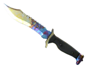 ★ Bowie Knife | Case Hardened image