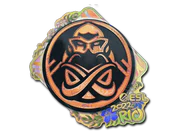 Sticker | ENCE (Holo) | Rio 2022 image