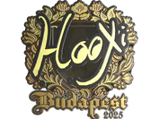 Sticker | HooXi (Gold) | Budapest 2025 image