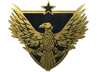 Brigadier General Pin
