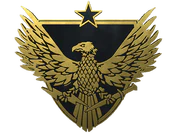 Brigadier General Pin image