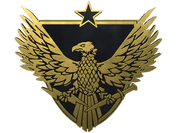 Brigadier General Pin image