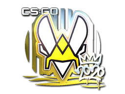 Sticker | Vitality (Foil) | 2020 RMR image