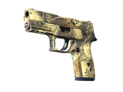 P250 | Contamination image