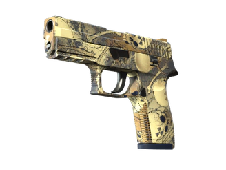 P250 | Contamination image