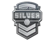 Sticker | Silver image