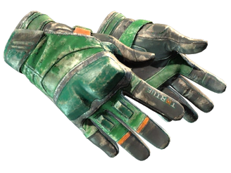 ★ Moto Gloves | Turtle image
