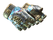 ★ Hydra Gloves | Case Hardened image