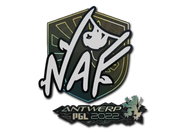 Sticker | NAF | Antwerp 2022 image