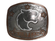 Sticker | FURIA (Foil) | Austin 2025 image