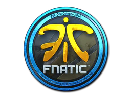 Sticker | Fnatic (Foil) | Cologne 2014 image