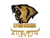 Sealed Graffiti | Lynn Vision | Austin 2025 image