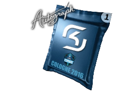 Autograph Capsule | SK Gaming | Cologne 2016 image
