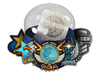 Skill Groups Capsule image