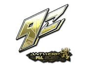 Sticker | 9z Team (Gold) | Antwerp 2022 image