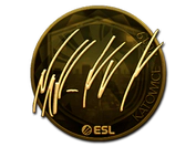 Sticker | NAF (Gold) | Katowice 2019 image