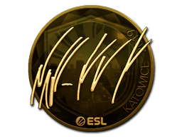 Sticker | NAF (Gold) | Katowice 2019 image