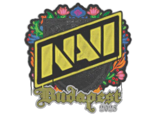 Sealed Graffiti | Natus Vincere | Budapest 2025