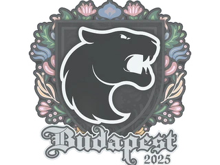 Sticker | FURIA | Budapest 2025