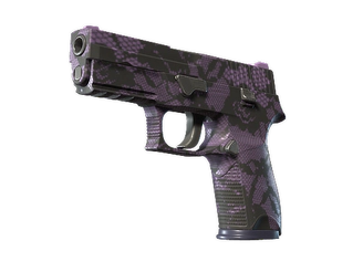 P250 | Plum Netting image