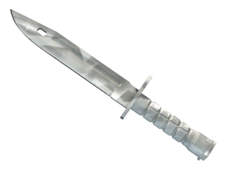 ★ Bayonet | Urban Masked image