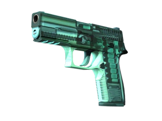P250 | X-Ray image