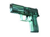 P250 | X-Ray image