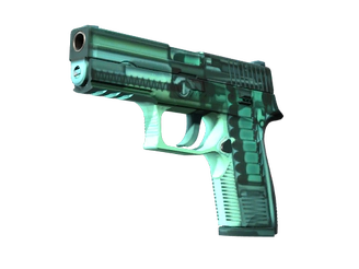 P250 | X-Ray image