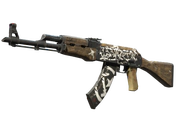 AK-47 | Wasteland Rebel image