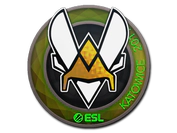 Sticker | Vitality (Holo) | Katowice 2019 image
