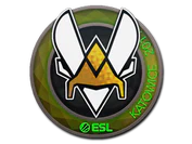 Sticker | Vitality (Holo) | Katowice 2019 image