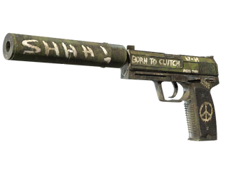 USP-S | Flashback image