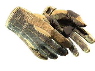 ★ Sport Gloves | Arid