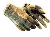 ★ Sport Gloves | Arid image