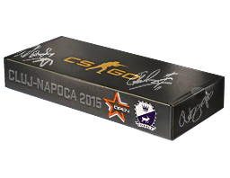 DreamHack Cluj-Napoca 2015 Cobblestone Souvenir Package image