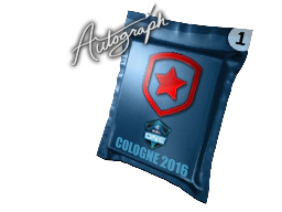 Autograph Capsule | Gambit Gaming | Cologne 2016 image