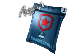 Autograph Capsule | Gambit Gaming | Cologne 2016 image