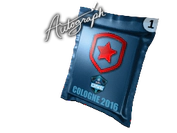Autograph Capsule | Gambit Gaming | Cologne 2016 image