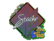 Sticker | Staehr (Glitter) | Rio 2022 image