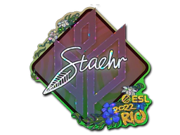 Sticker | Staehr (Glitter) | Rio 2022 image
