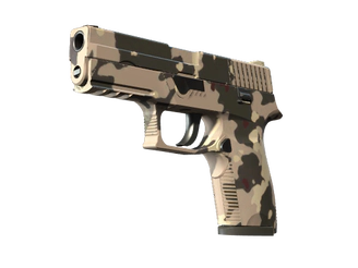 P250 | Black & Tan image