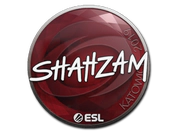 Sticker | ShahZaM | Katowice 2019 image