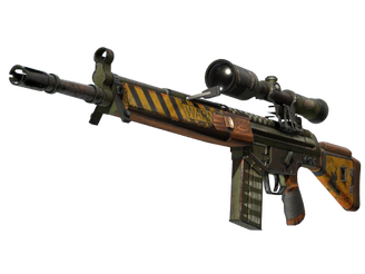 G3SG1 | Scavenger image