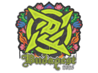Sealed Graffiti | Ninjas in Pyjamas | Budapest 2025