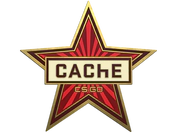 Cache Pin image