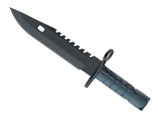 ★ M9 Bayonet | Night