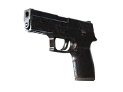 P250 | Dark Filigree image