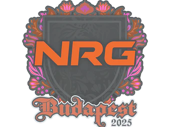 Sticker | NRG | Budapest 2025 image